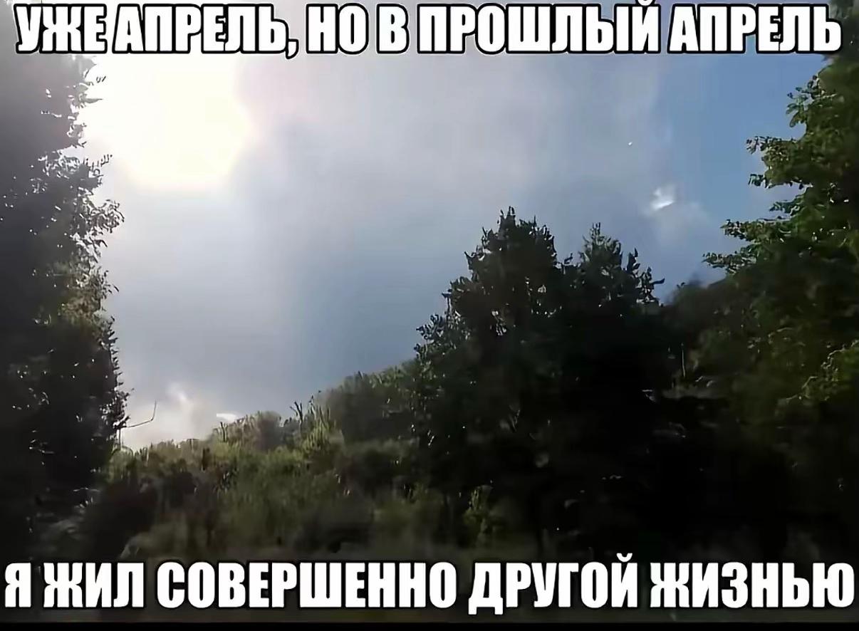 @мишель ватафак☹️
