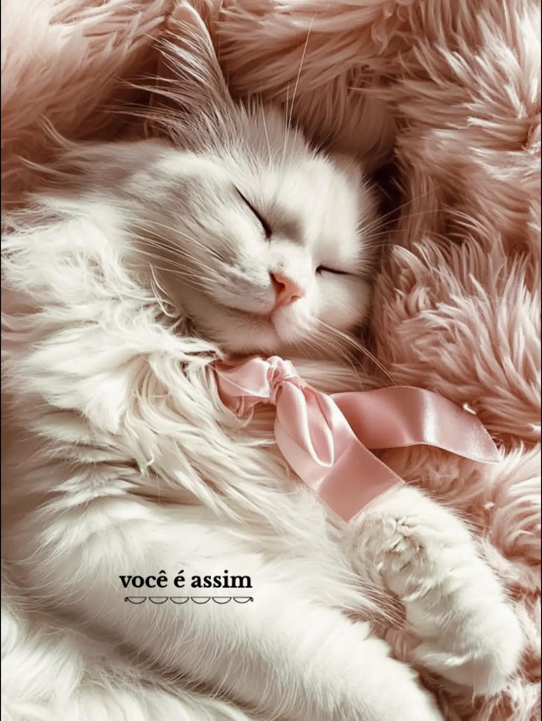 @𐔌◌̫៹ ᩘ ყ๋𑄙ᩚs ✿̫!¡🐇̫᪲͘୭