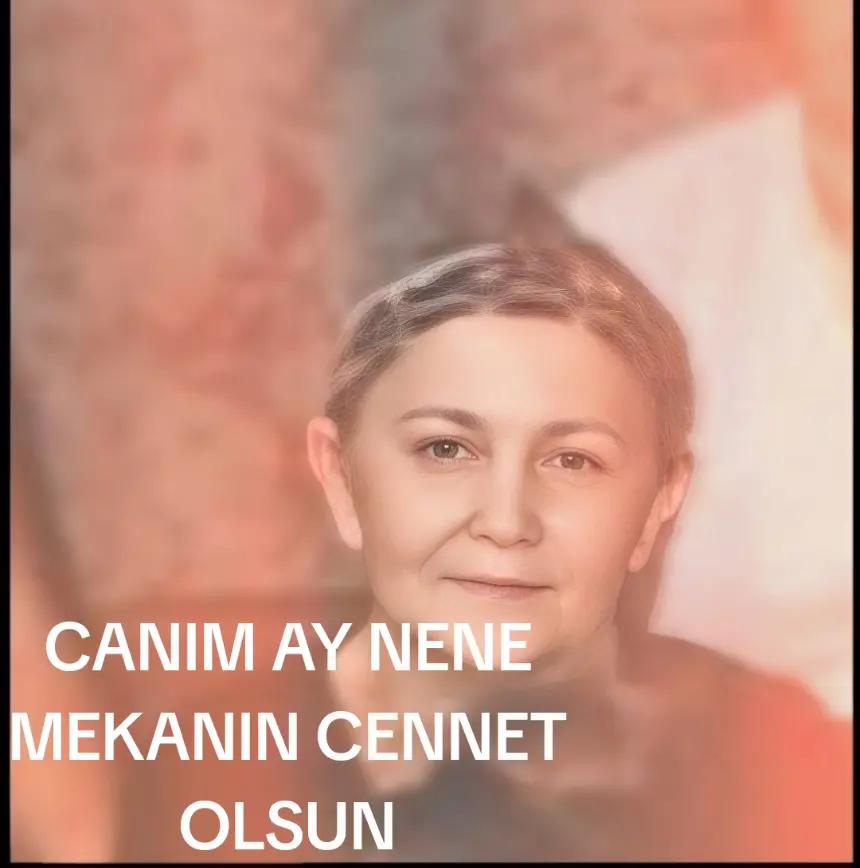 @Ramin Isgenderli