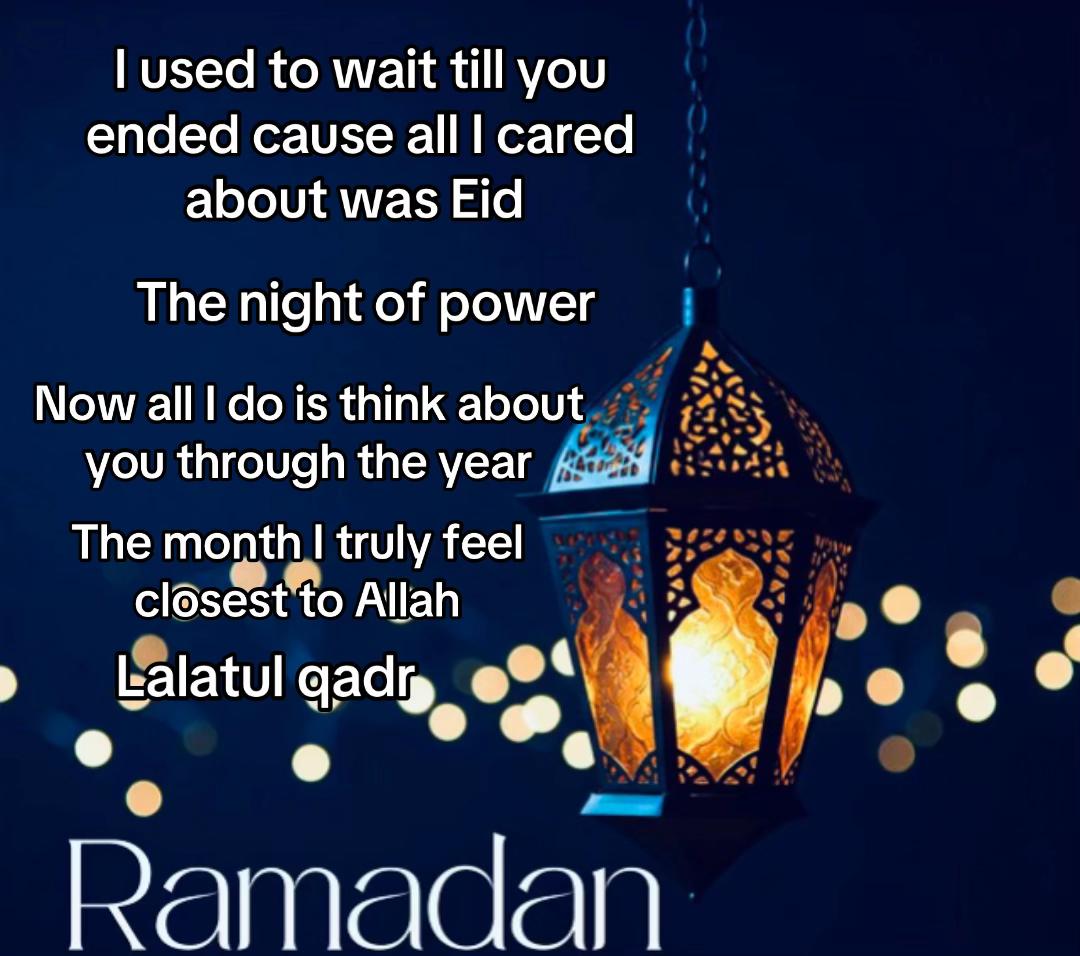 @momo🕋