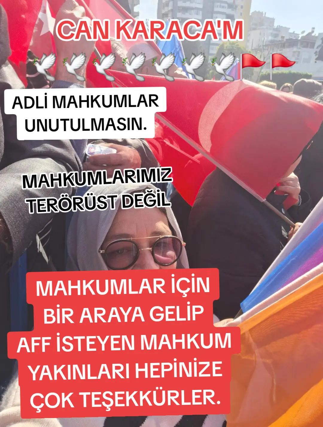 @can_gul0102
