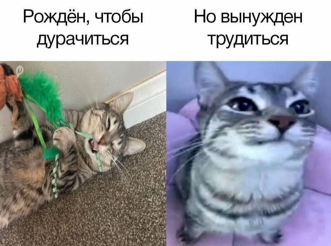 @меланхолия
