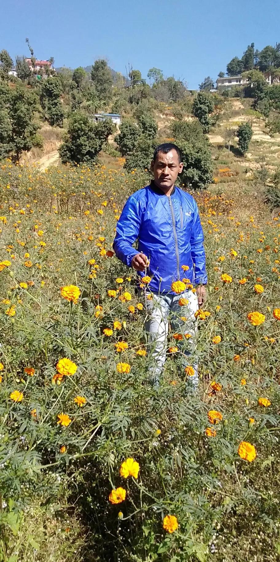 @Aman Manandhar