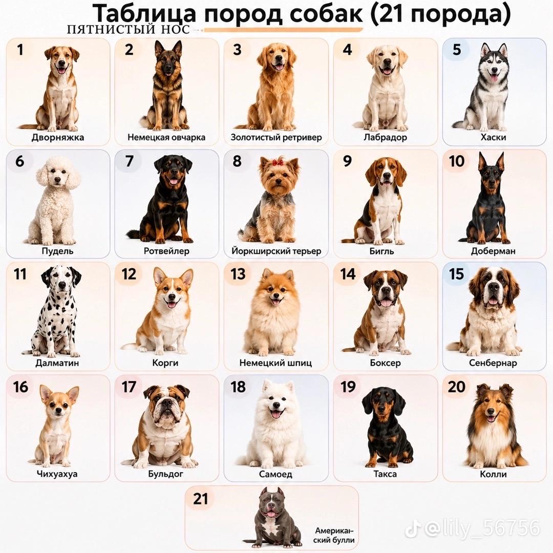 @ариешка🥥