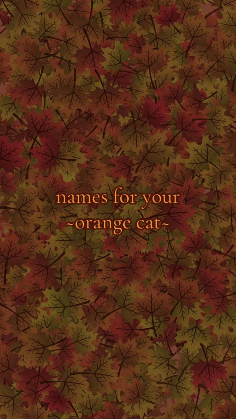 @baby names r us 🪺