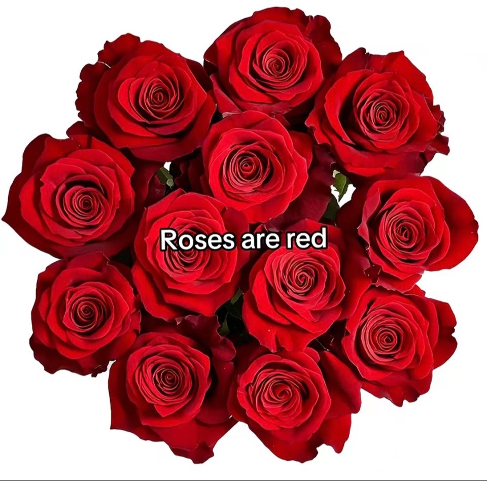 @$Terrell67$$