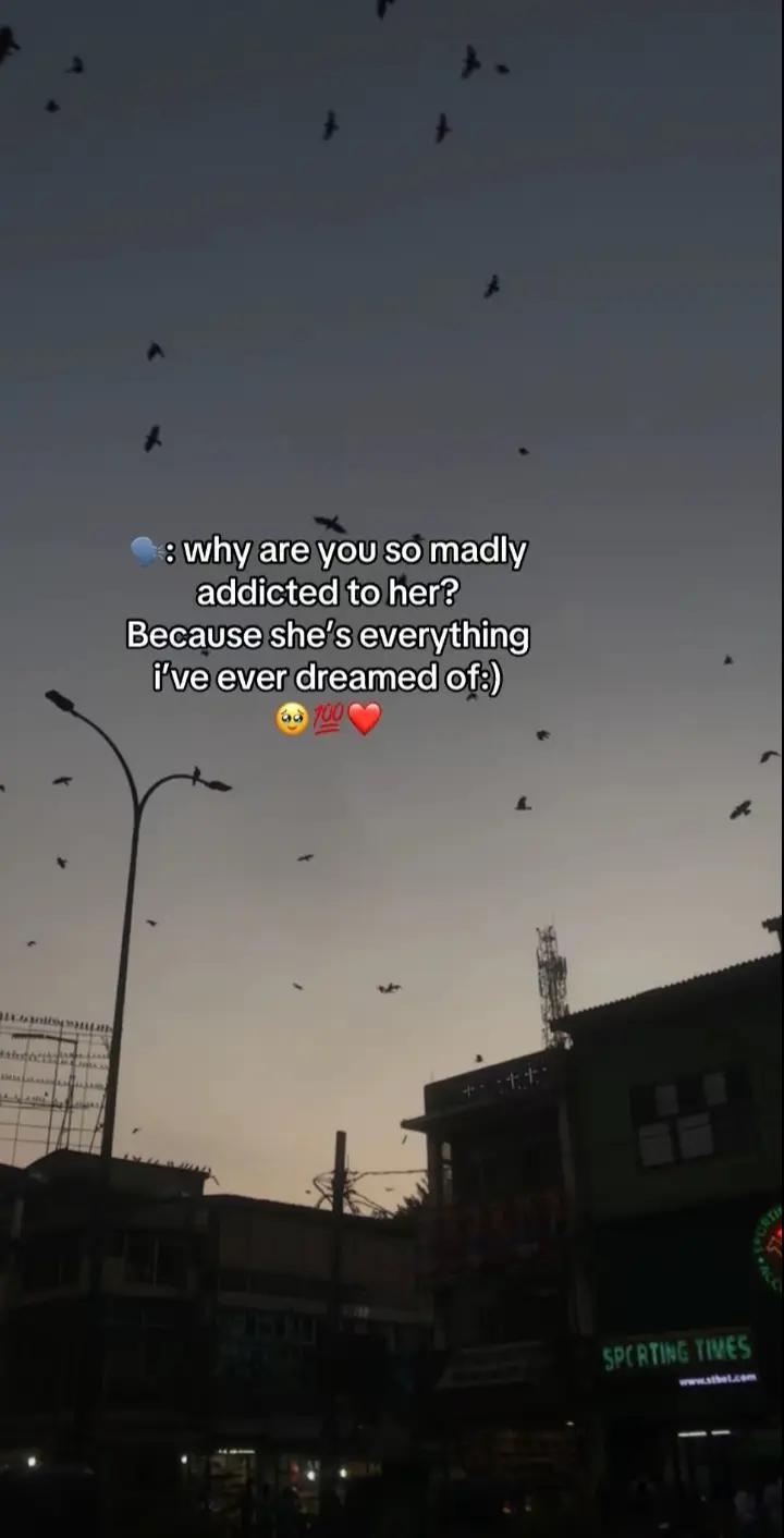 @☠︎ 𝗔𝗽𝗽𝘂 𝗫 ☠︎