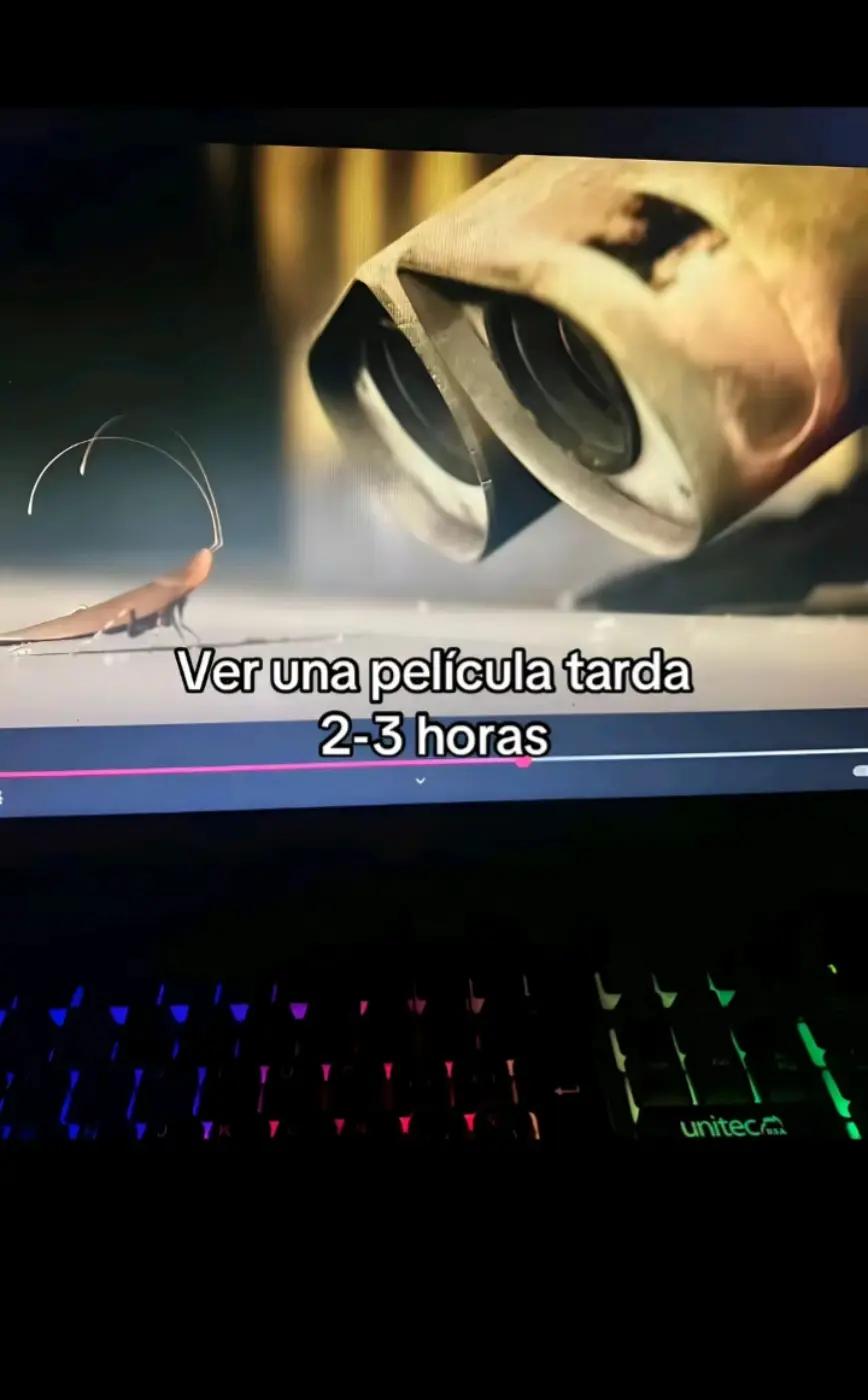 @stefannyozal0