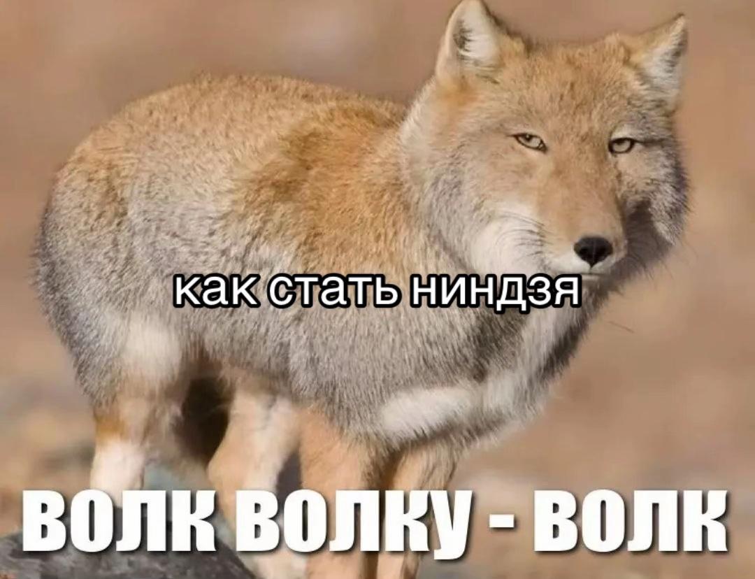 @Щепка