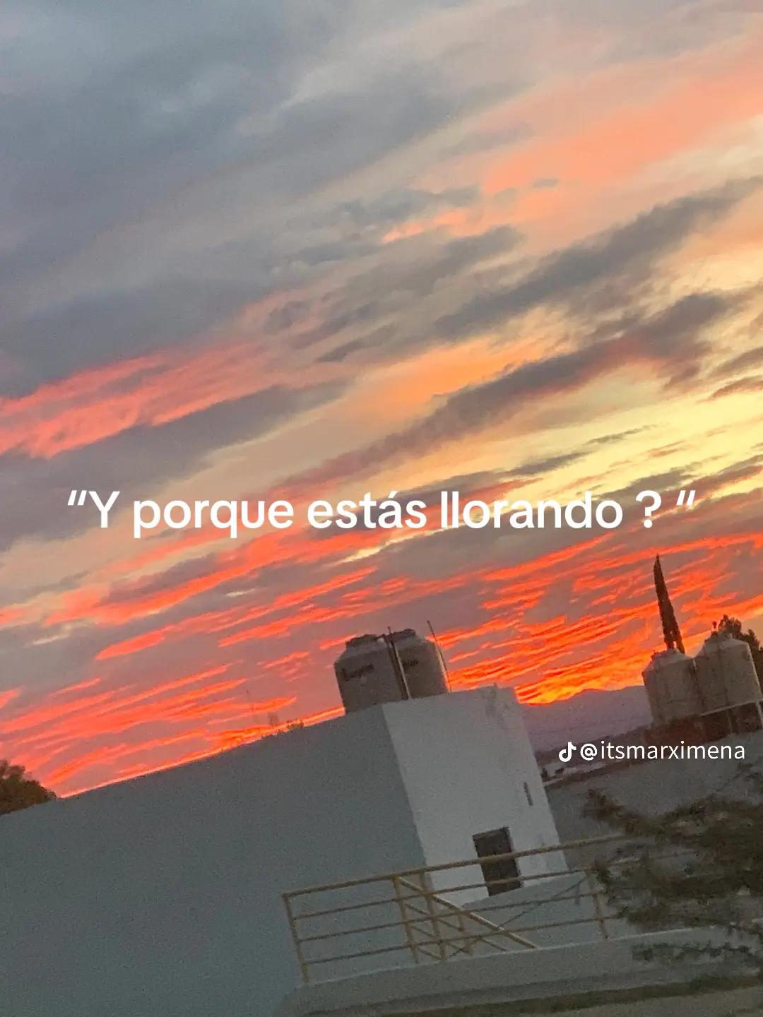 @🌷Andrea V🍬