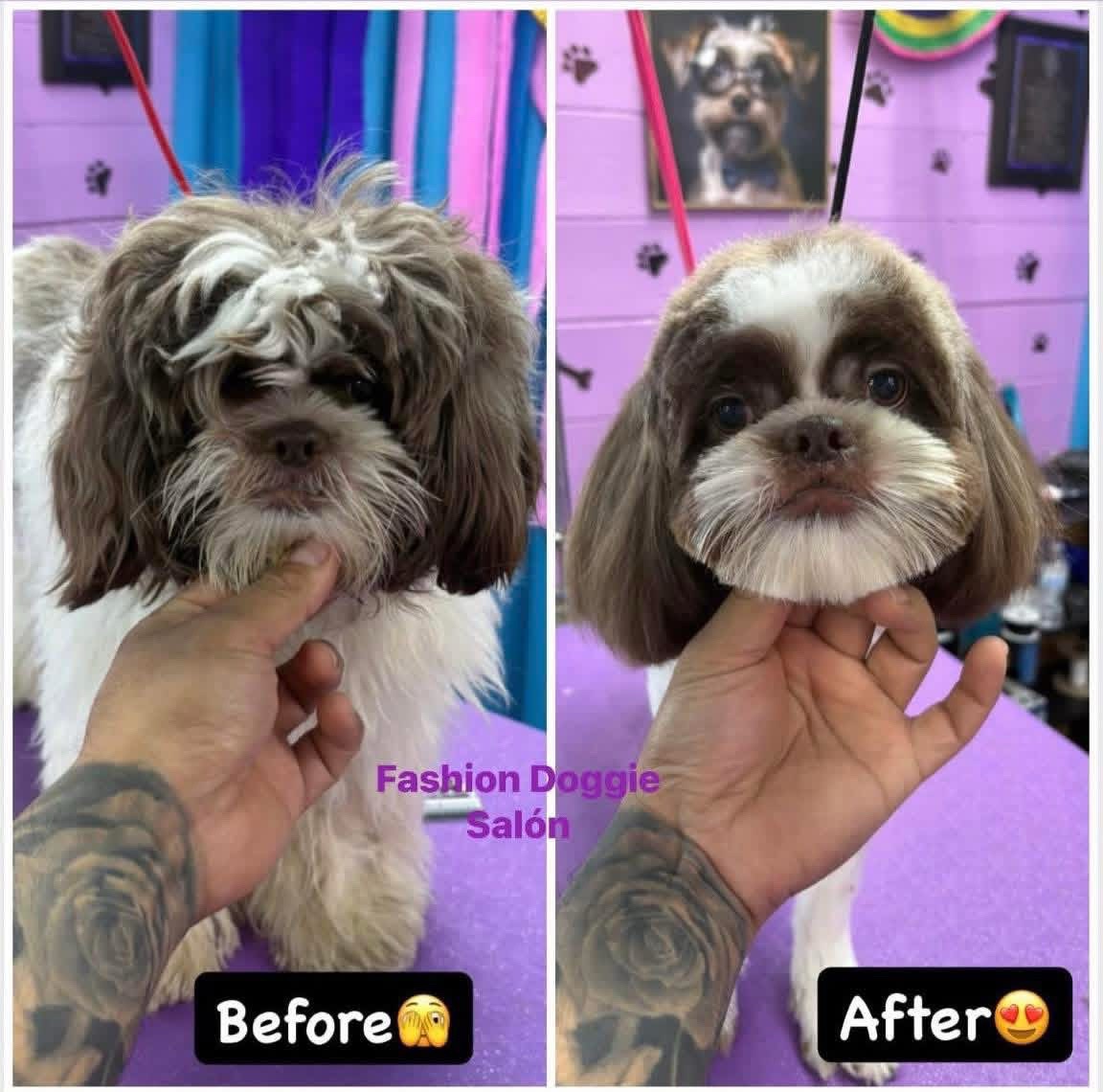 @fashion.doggie.salon