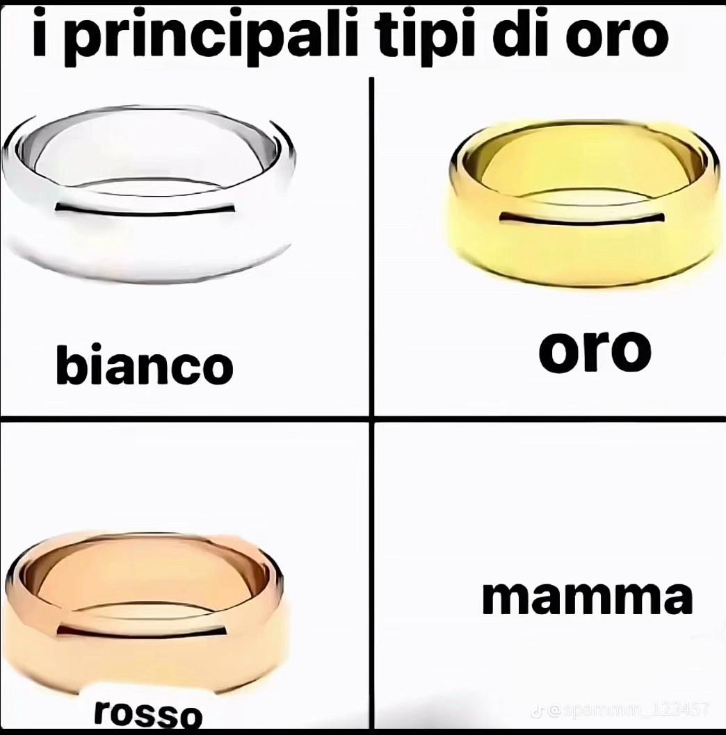 @mi_chiamo_ai🐶🪼🦌🦊🐘🐺❤️&zwj;🩹