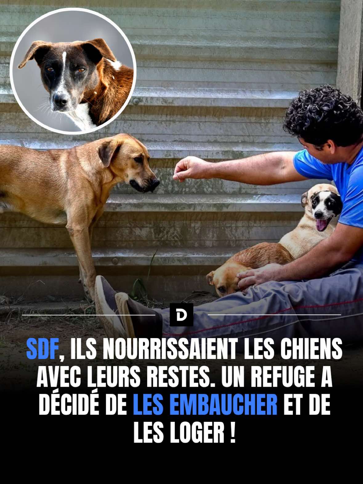 @Demotivateur