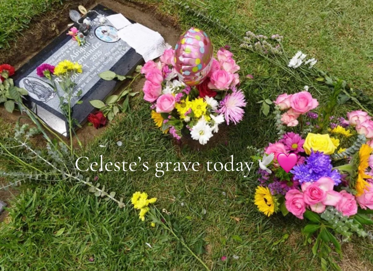 @justiceforceleste