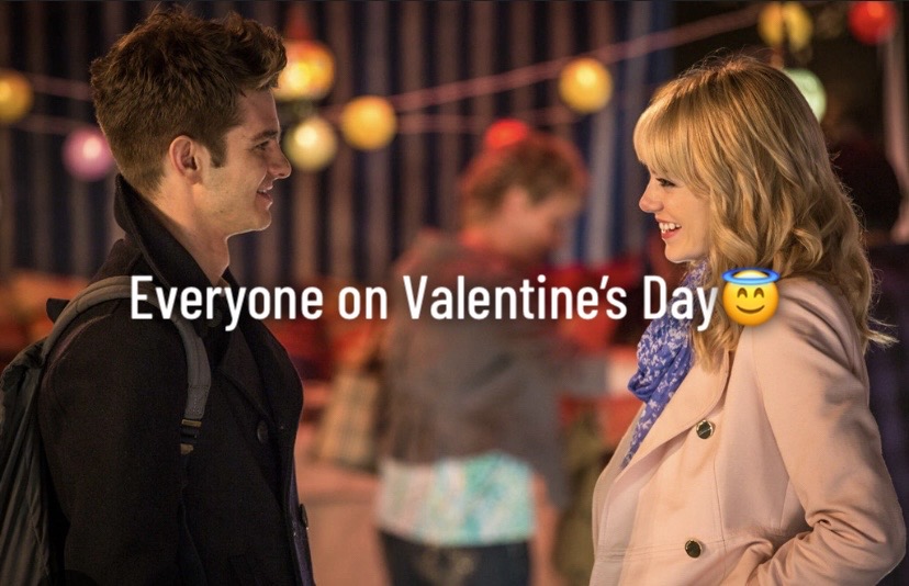 @noazesitz_