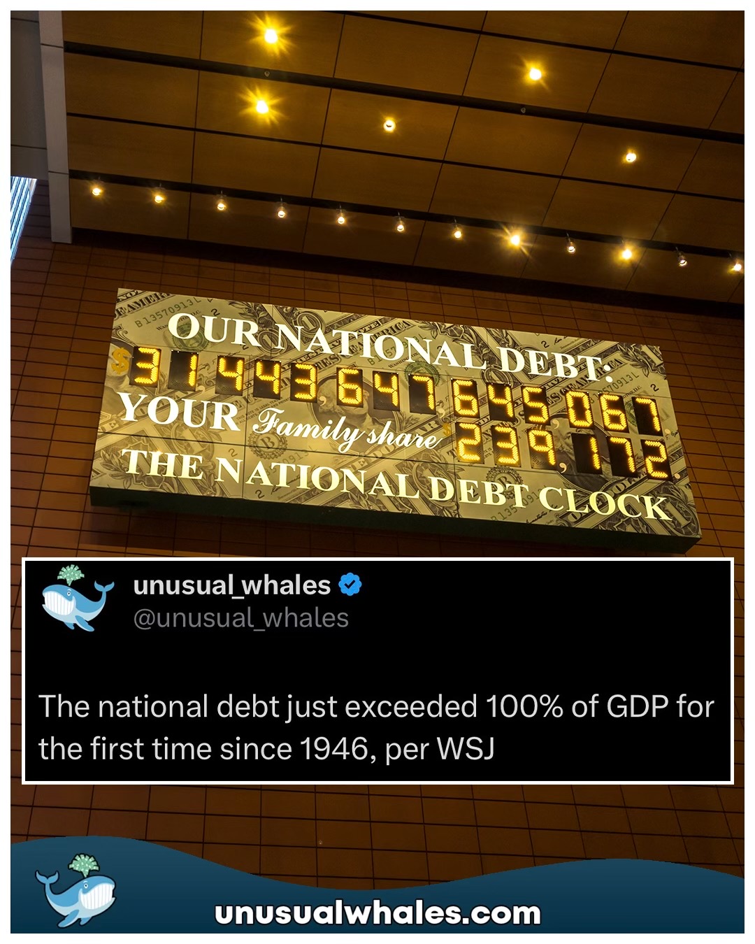 @Unusual Whales