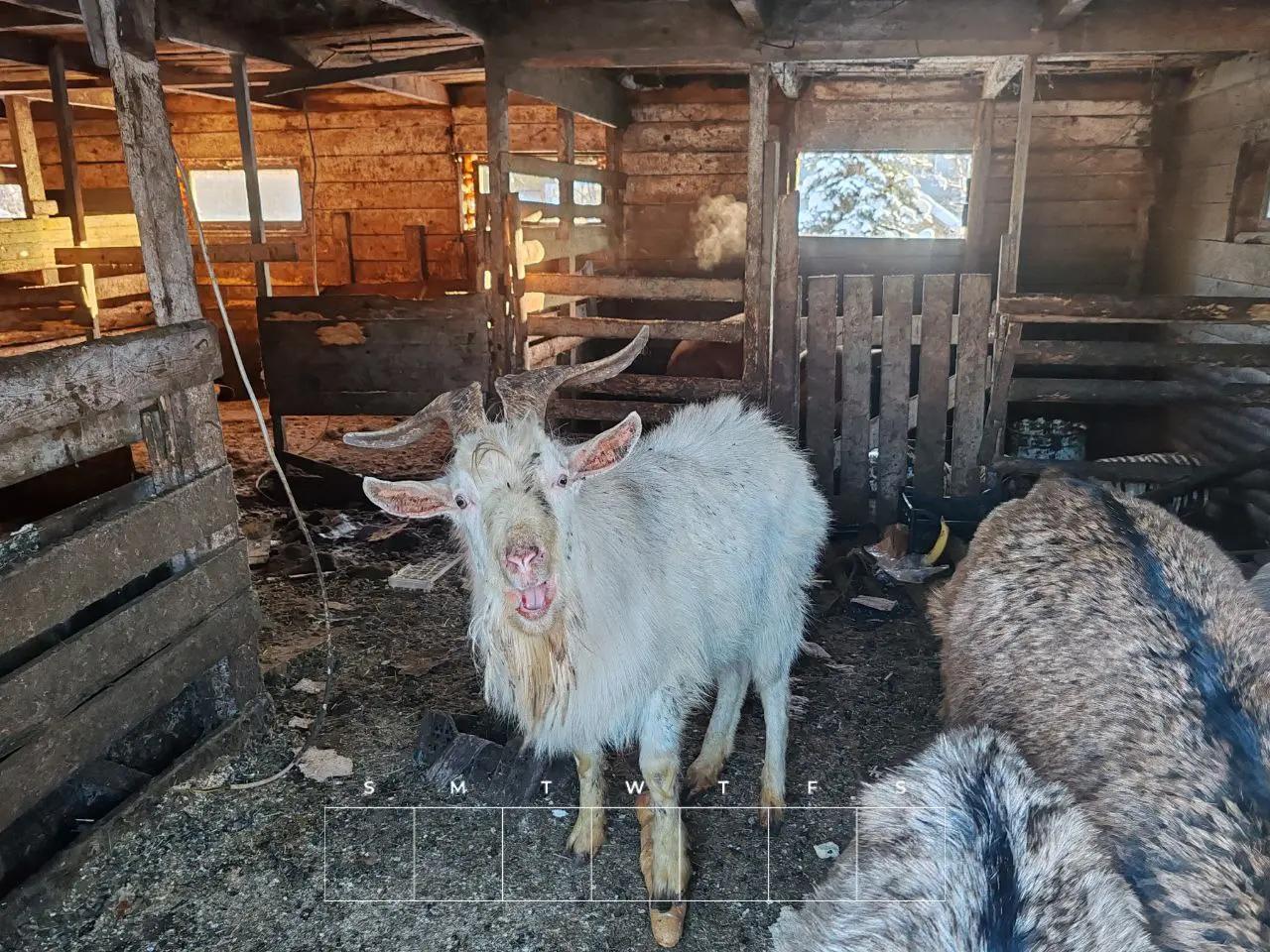 @Алик Карелия