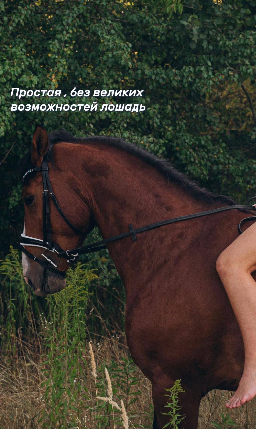 @я полезная как генератор 👍