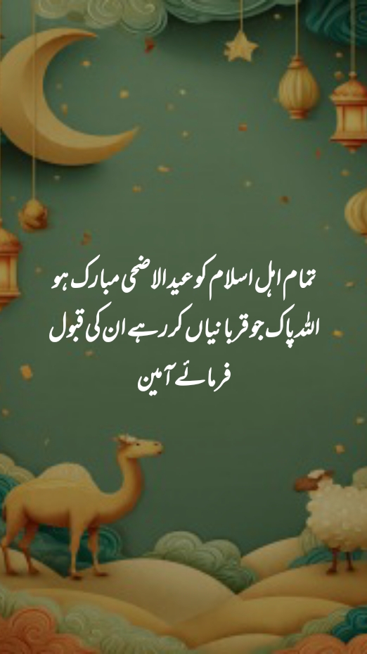 @sanaashraf