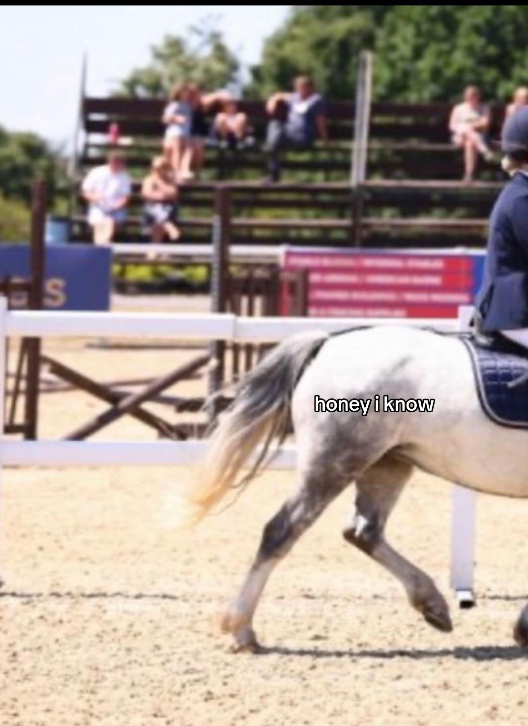 @poppy 🌾🐴 🇬🇧