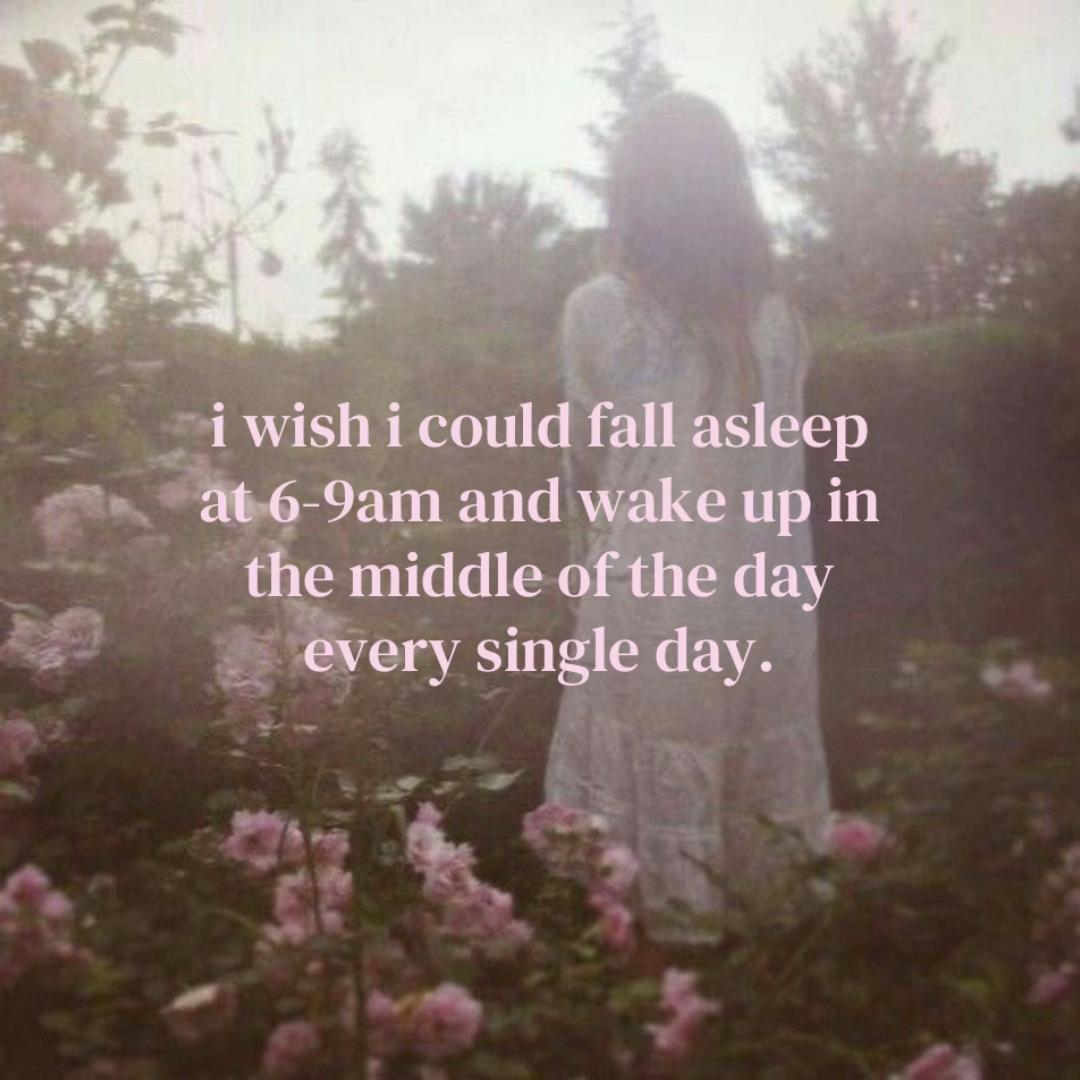 @❀🪽