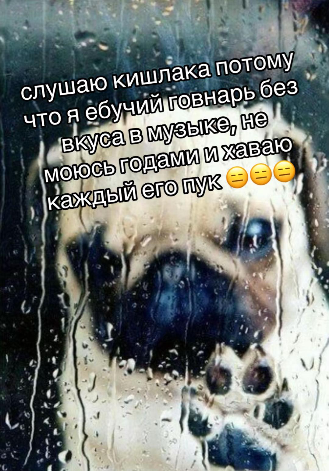 @stepm00m