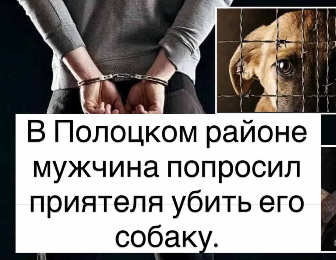 @Novopolotsk_polotsk.by