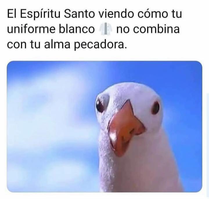 @gabrielmatamoros