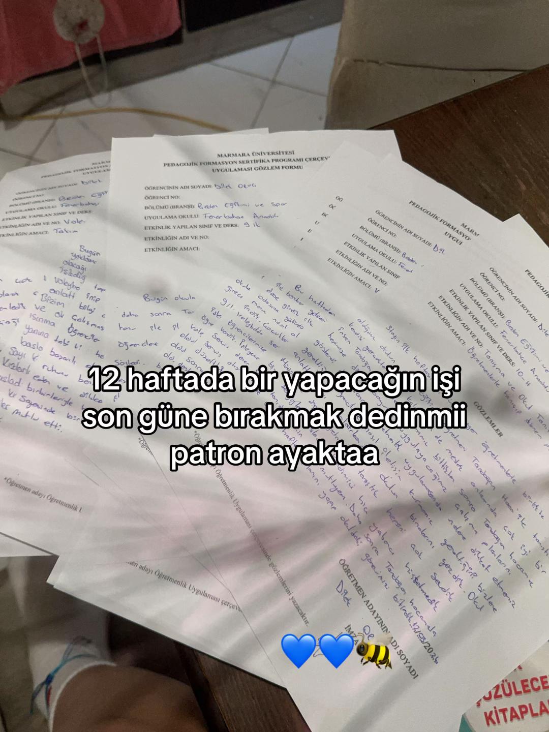 @Dilekcimmi