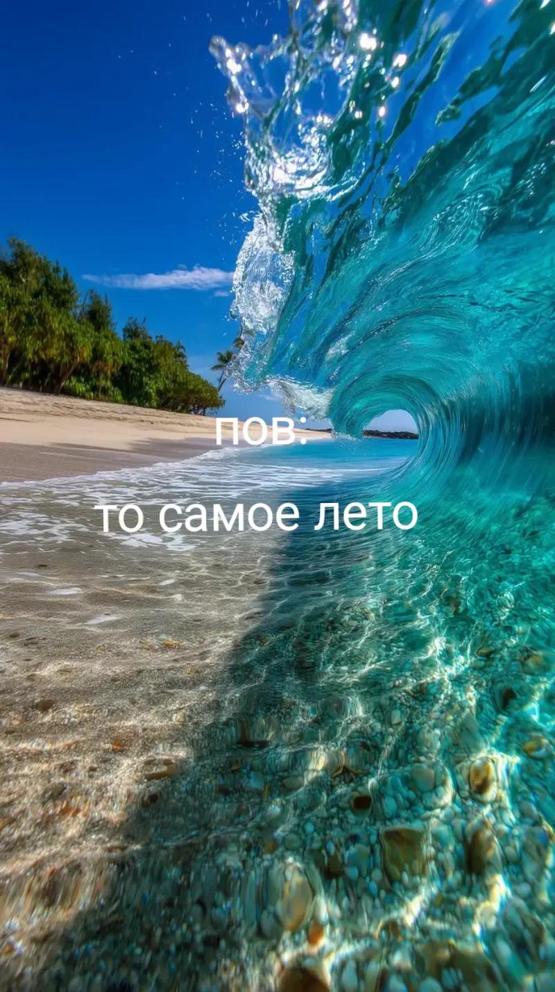 @tt.Barca