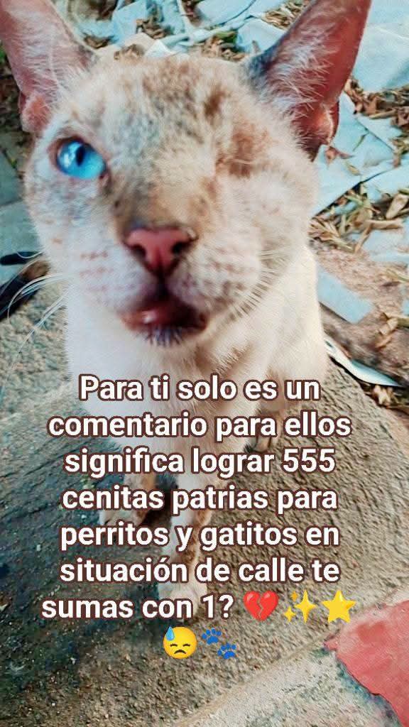@Adriana Torres ACTUE
