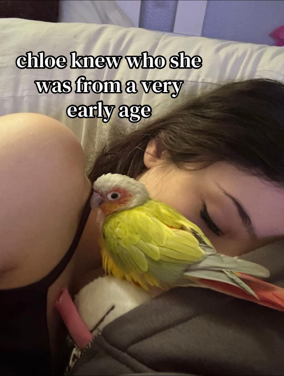 @tota11ynotchloe