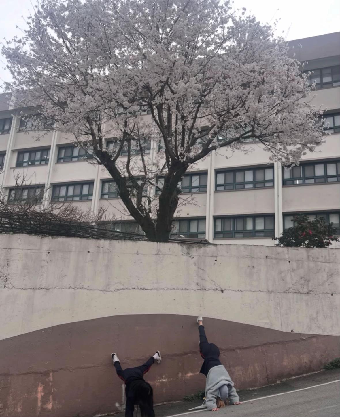 @예파피메일