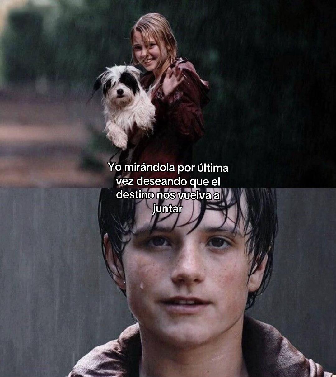 @adriaan.