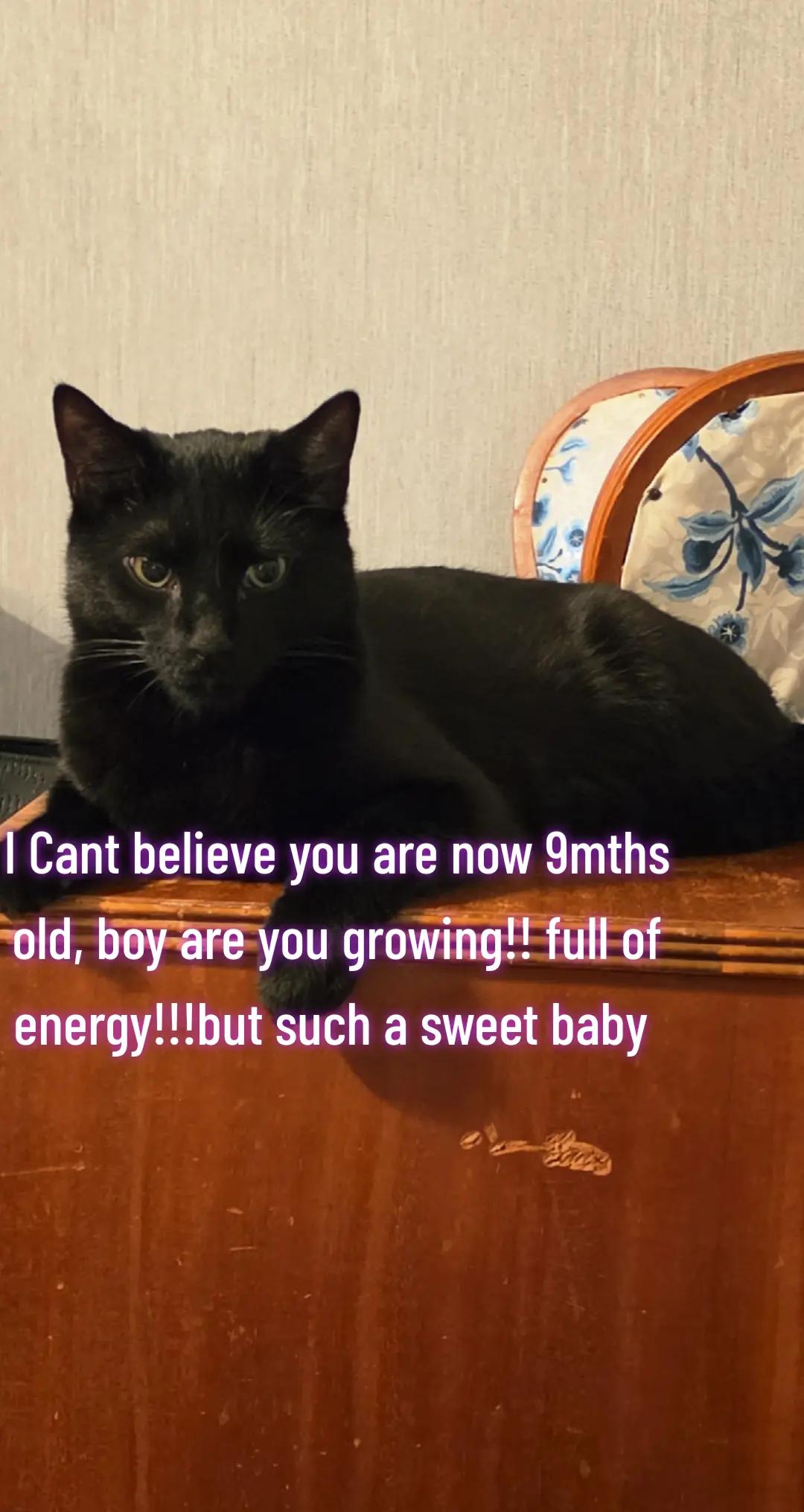 @๐๐Libby๐๐