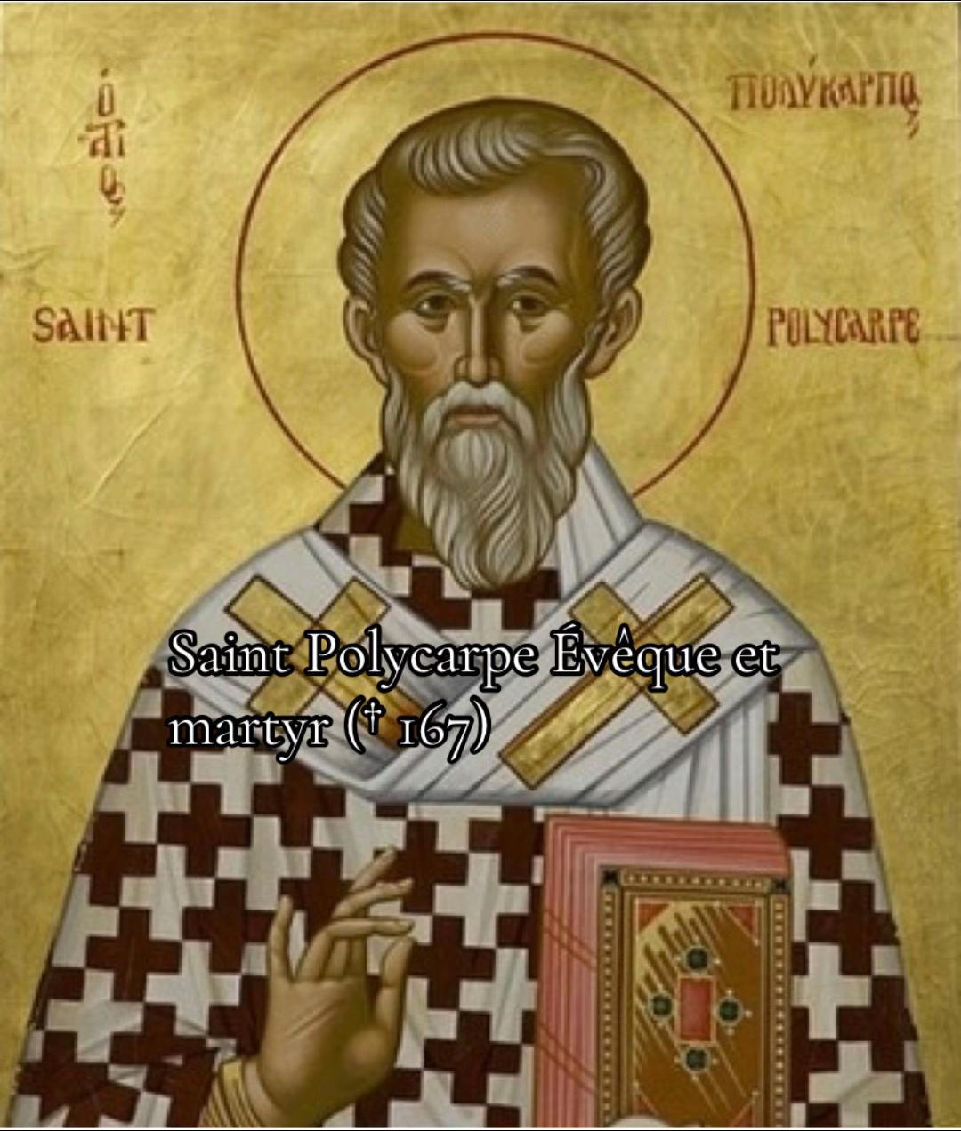 @vaticancatholique✟🇻🇦_