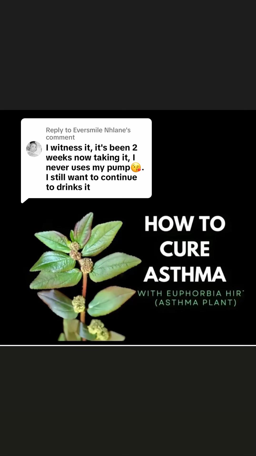 @Asthma-plant_herbalshop