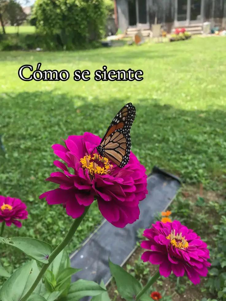 @&hearts;𝙱𝙰𝚁𝙲𝙴𝙻𝙾𝙽𝙰&hearts;