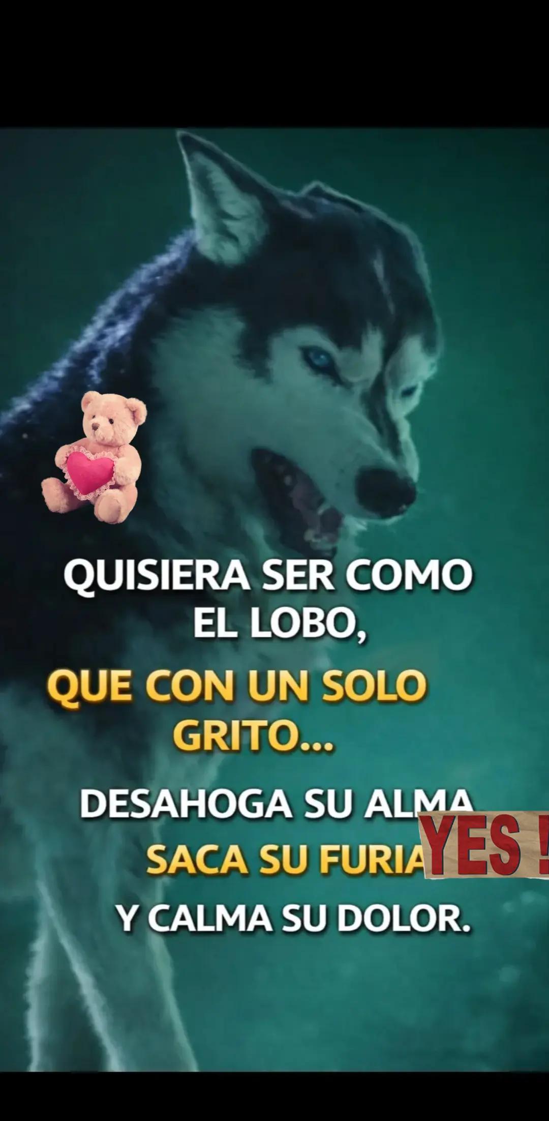 @Antonio Merchan