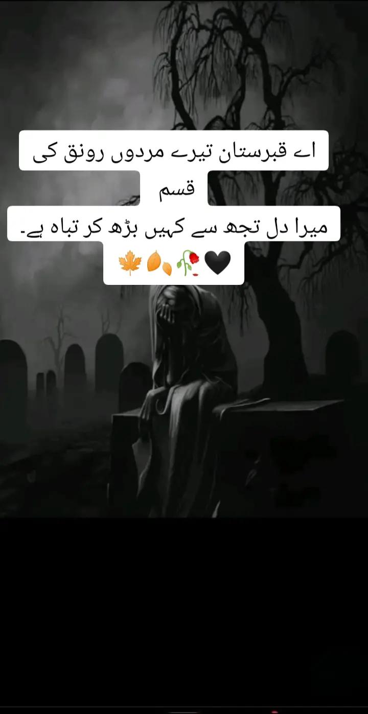 @shehzadi g😎