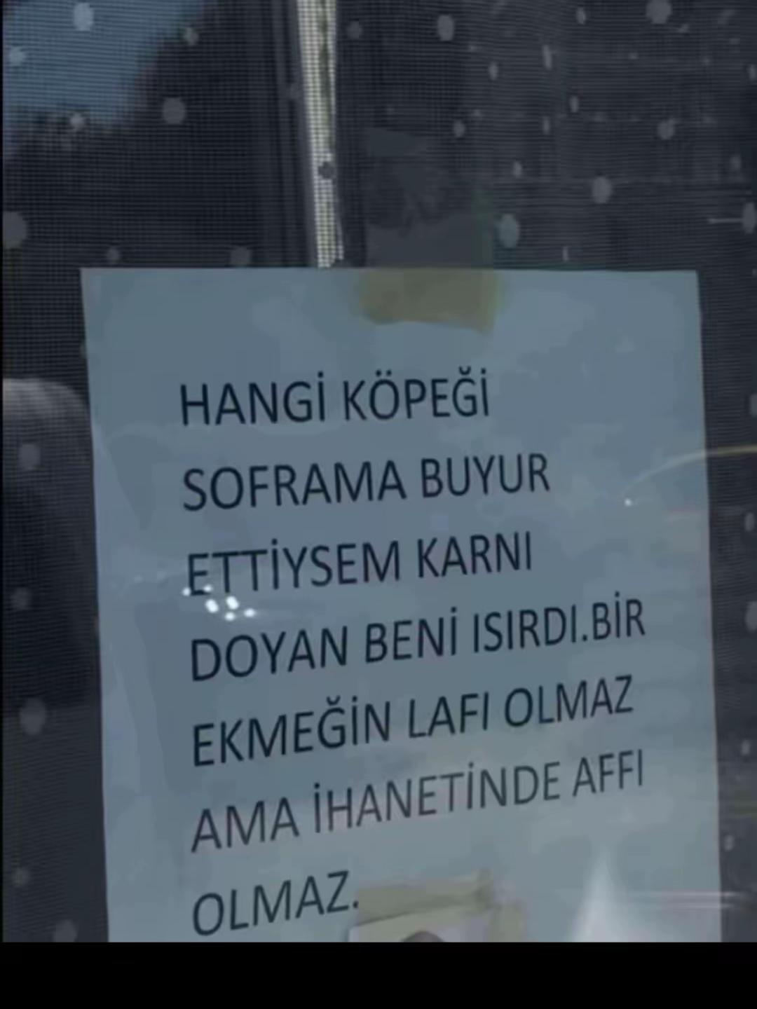 @Elvan Kılı&ccedil;arslan