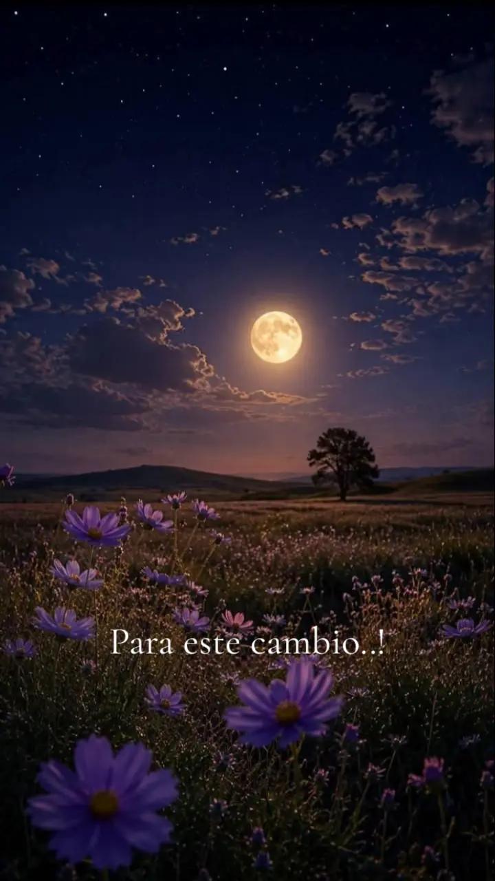 @Martín Campos