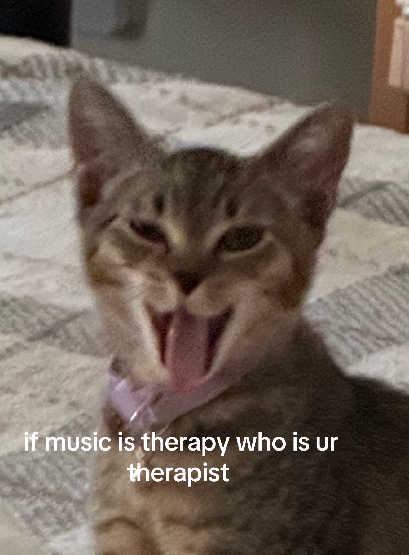 @xavier🎸
