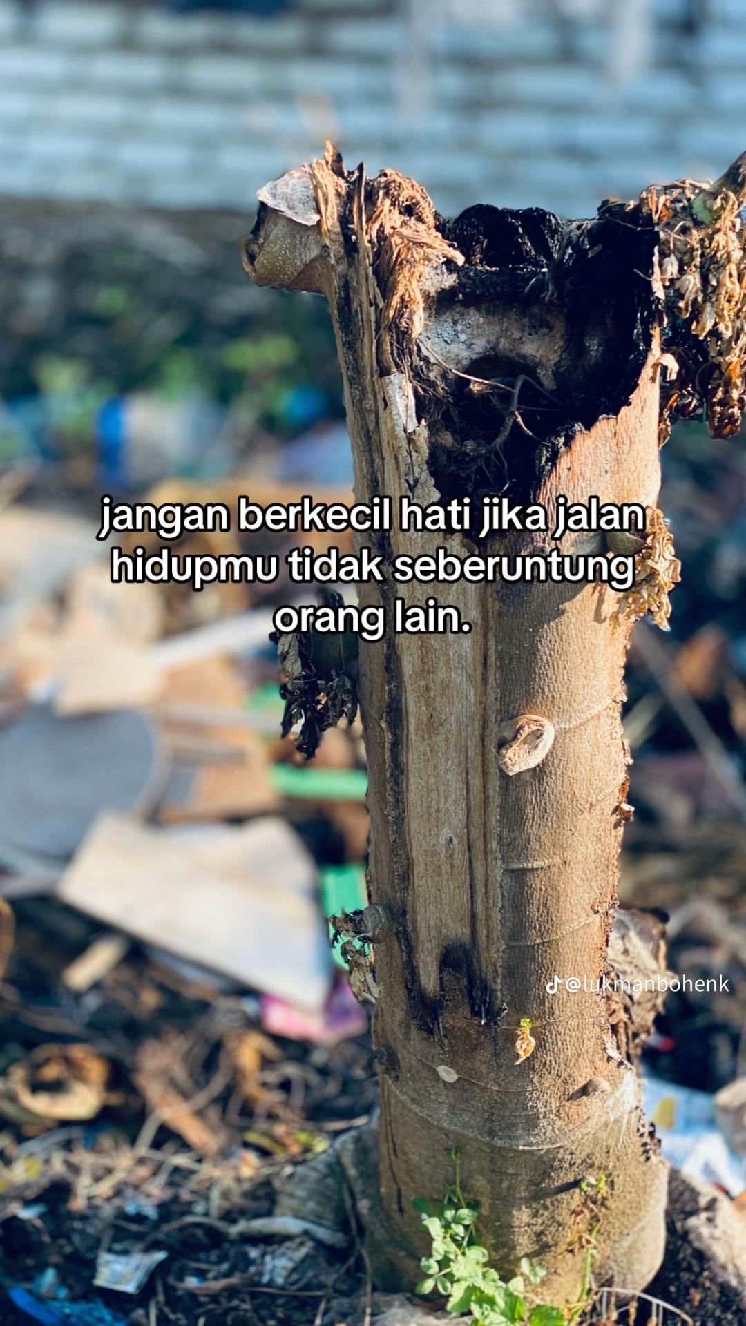 @@adit🐒