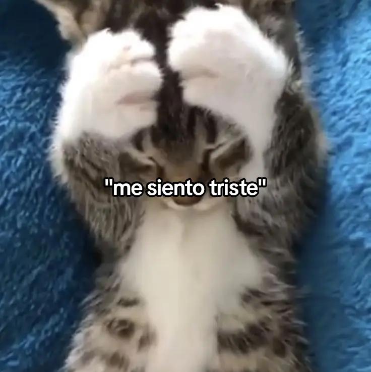 @iamaldair321