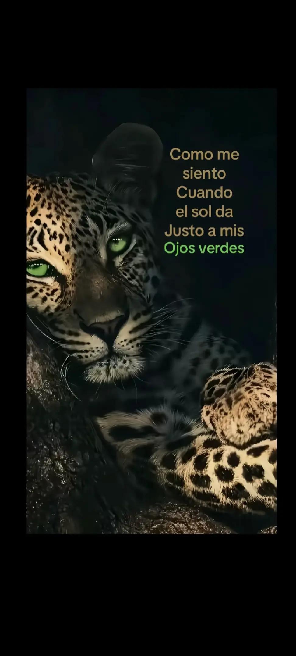 @Carol💋✨