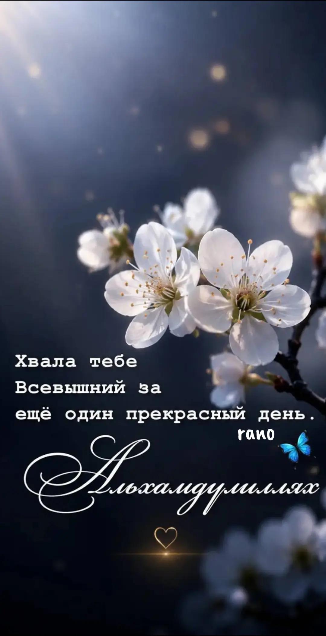 @УЗБЕЧКА🔥7777🔥