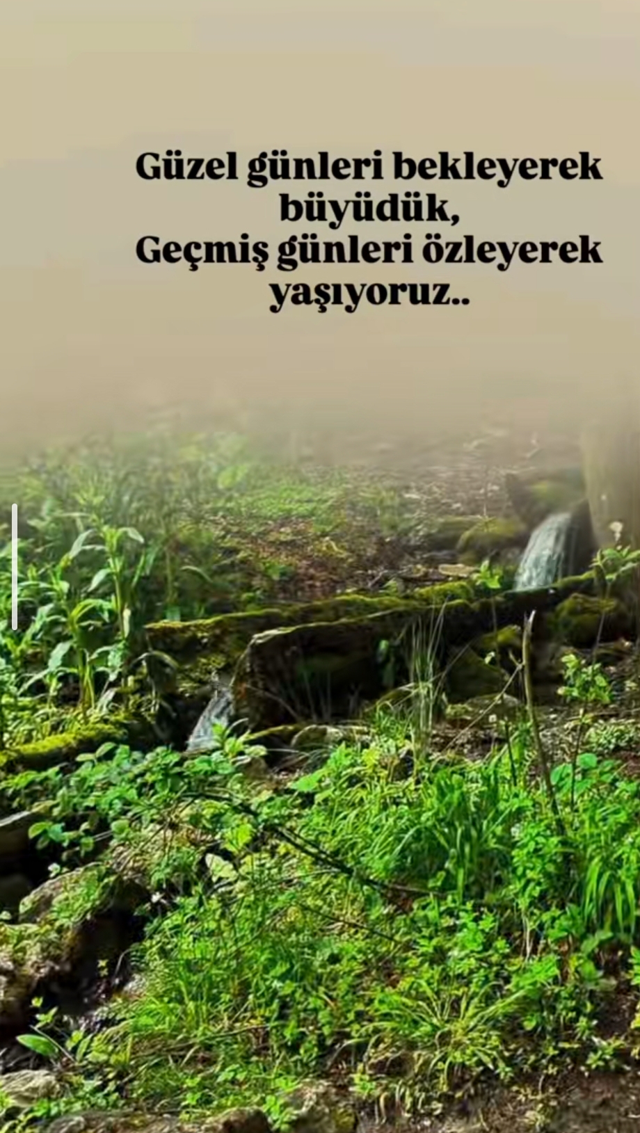 @Ö𝔪𝔢𝔯 𝔄𝔫𝔩ı (REBER)