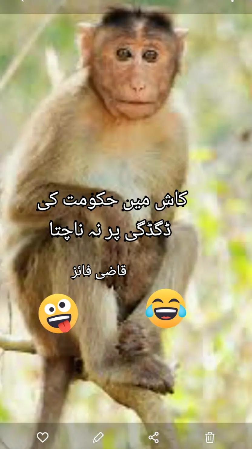 @Sabir
