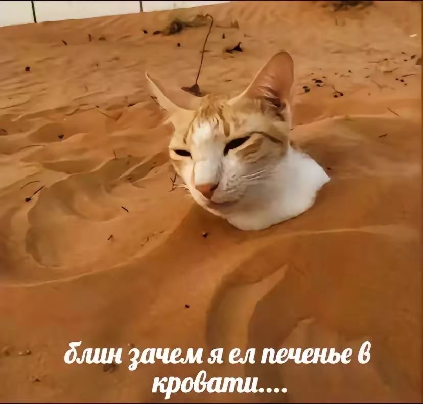 @я Влад